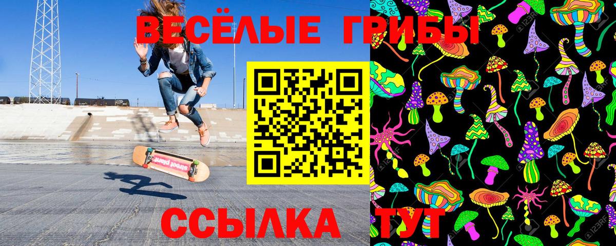 Галлюциногенные грибы GOLDEN TEACHER Борисоглебск
