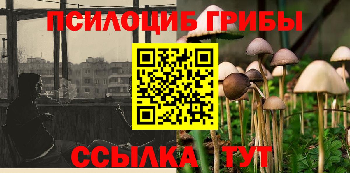 Галлюциногенные грибы Psilocybine cubensis  Вход с VPN  наркошоп  Борисоглебск 